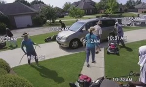 A Busy Day in the Yard