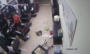 Mischievous Dog Makes a Mess