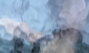 Goat Learns About Glass Ceiling