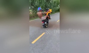 Man performs one-wheeled motorbike wheelie stunt in Bangkok