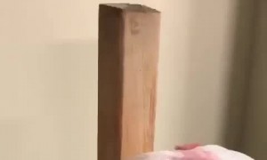 Can't Quite Get a Grip