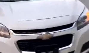 Honking Dog Wants to Leave Now