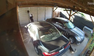 Instant regret! This was the moment a thief got caught by a dog in a US home