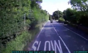 Duck smashes head-on into truck on UK country road