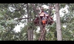 Indian villager forced to live in treehouse after elephants destroy his home