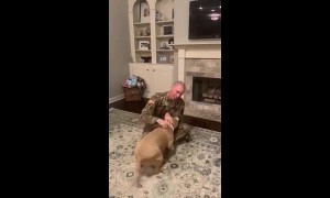 Overjoyed pitbull greets US owner after return from one-year deployment