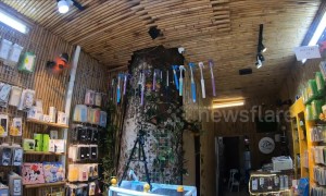 Vietnamese build houses around trees to save space in Hanoi