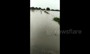 Brave boy guides ambulance by running though flood waters
