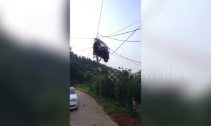Scooter transported on truck ends up tangled in power lines above road in China