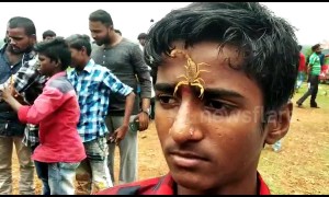 Watch this bizarre Indian festival where devotees place deadly scorpions in their MOUTHS