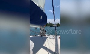 'Pedophile island': FBI agents raid dead billionaire Jeffrey Epstein's Caribbean home