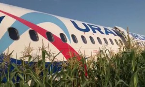 Plane crash-lands in Russian field after hitting flock of birds