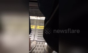 Let's get ready to travel! London subway announcer does glorious boxing style announcements