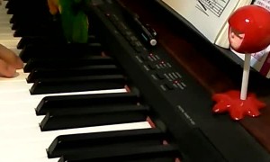 Bird Joins in on Piano Playing