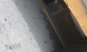 Truck Keeps Cold Air Flowing While Parked