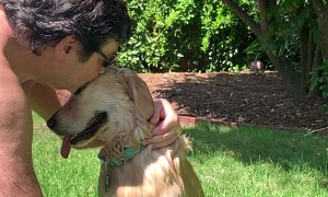 Cooling Off Your Dog in the Summer