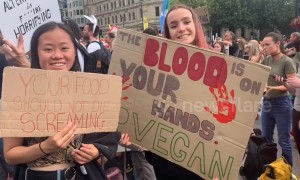 Animal Rebellion Protests London Trafalgar Square