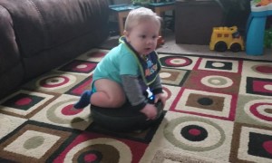 Babies Vs. Roombas