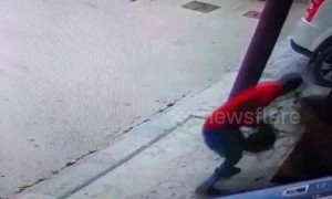 Oh brother! Indian man tries to rob younger brother but loyal Akita dog thwarts thief