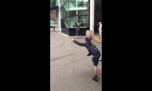 Howzat? Ten-year-old boy bowls out WG Grace's statue at Lord's Cricket Ground