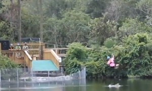 Alligator Leaps Out Of The Water Attempting To Bite Woman On Zipline