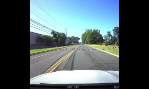 Why did the goose cross the road? Flock holds up traffic in the US