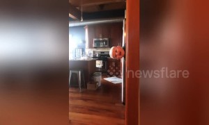 'Floating' baby is overjoyed at new version of peek-a-boo game