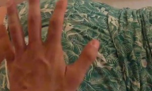 Teaching a Young Dog Old Tricks