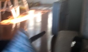 Cat Freaks Out and Falls Off Couch