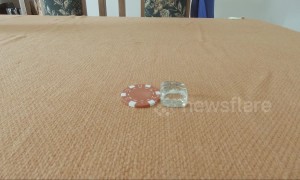 Magician in Mauritius melts poker chip and glass into dice