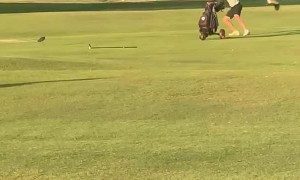 Golfers Have Bout with Birds
