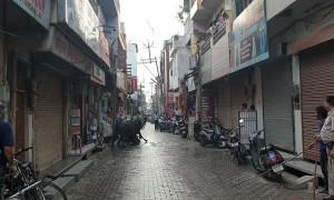 Brawling Bulls Cause Market Mayhem