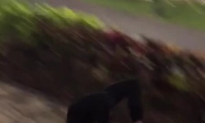 Rolling Through the Streets like a Boss