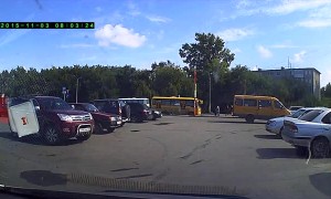 Cute Kitten Stops Traffic