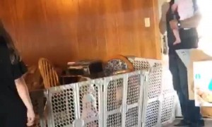 Triplets are too Much for Man