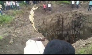 Brave man descends 40-foot well to rescue crocodile