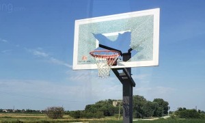 Delivery Driver Leaves Path of Destruction