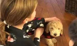 Little girl's tearful reaction after getting surprise puppy