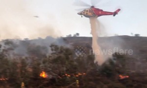 Firefighters attempt to contain Los Angeles brush fire