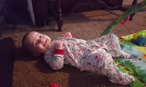 Babies Vs. Noisemakers