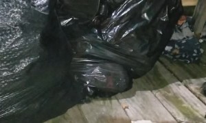 Guy Guards Garbage From Bear