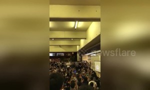 Hong Kong protest sympathisers attend Ukrainian revolution movie event