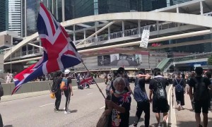 Fears grow for Hong Kong protester "Granny Wong"