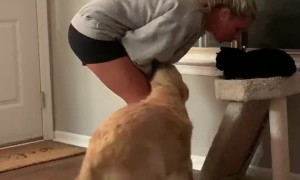 Pay Attention to me, Human!