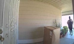 Person Packs Away Parcels