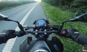 Rider Rescues Kitty from Road