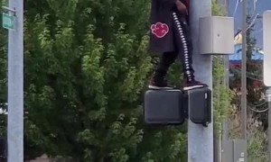 Mysterious Traffic Pole Dancer