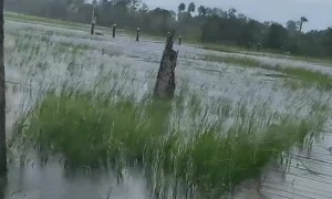 Woman documents excessive flooding from Hurricane Dorian