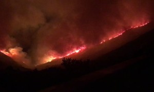 Firefighters Defend Homes