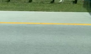 Multitasking Motorcyclist